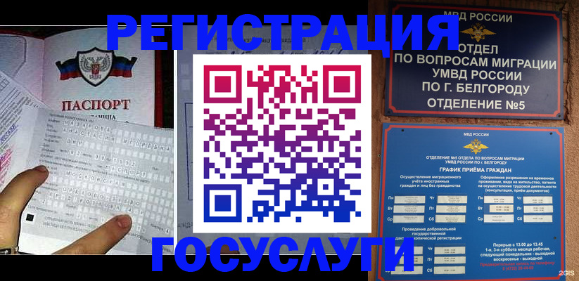 временная регистрация в квартире в Волгоградской области